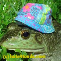 /home//u458753944/public_html/sourcegallery/////////////Frogs/More bullfrogs/P6020092.JPG